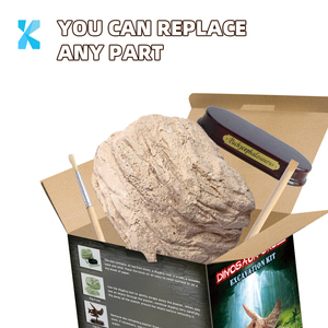 Kit de Excavación de Cráneo de Dinosaurio de Alta Calidad, Kit de Excavación de Dinosaurio, Decoración de Esqueleto de Cabeza, Regalo de Ciencia Arqueológica, Juguete Educativo para Niños - Product Image 2