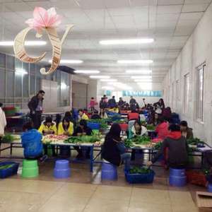 ช่อดอกไม้ประดิษฐ์ ซิลค์ รุ่น New Seven Lily สำหรับตกแต่งห้อง<span class=keywords><strong>น</strong></span>ั่งเล่<span class=keywords><strong>น</strong></span> ถ่ายภาพงานแต่งงา<span class=keywords><strong>น</strong></span> และตกแต่งบ้า<span class=keywords><strong>น</strong></span> - Product Image 5