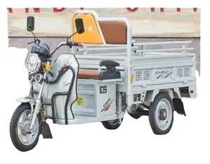 China Wholesale Low Price Bulk electric cargo tricycle 1000W EEC Heavy Load Open Type electric tricycles three wheel adult