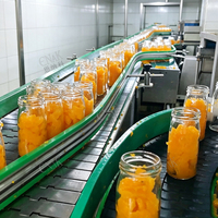 ENAK Fabriek Directe Productielijn voor Ingeblikte Sinaasappels, Mandarijnen, Gele Perziken en Ananas voor Fruitconservenverwerkingsbedrijven