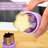 Ensemble de 10 pièces en acier inoxydable en relief boulette peau moule bricolage biscuits et coupe-légumes pour l'utilisation d'accessoires de cuisine