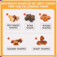 Friandises à mâcher molles probiotiques pour chiens pour le soutien immunitaire et la santé intestinale, soin de la digestion sensible