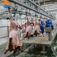 Ligne de traitement de la viande de mouton et de chèvre ZBHT, équipement d'abattage de moutons, machinerie complète d'abattoir, solution personnalisable