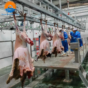 Línea de Procesamiento de Sacrificio de Ovejas y Cabras ZBHT, Equipo Completo para Mataderos de Ovejas, Maquinaria para Mataderos, Solución Personalizable - Product Image 6