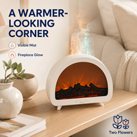 Diffuseur d'arômes à effet flamme avec brume colorée, minuterie 1H 3H 5H, humidificateur décoratif effet cheminée en trois finitions