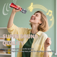 Mini amplificateur de karaoké 3 en 1, caisson de basses, microphone sans fil, microfono inalambrico profesional, système de haut-parleurs Mike Yin