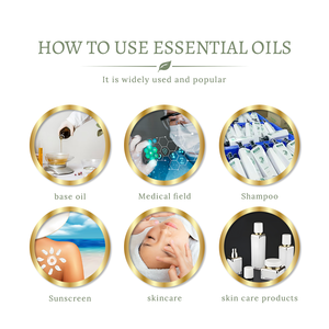 Private Label Aloe Vera Öl für Hautpflege <span class=keywords><strong>Massage</strong></span>-Trägeröl zur Aufhellung Körpermassageöl - Product Image 5