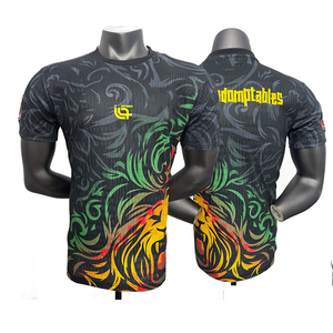 2026-2027 カメルーン代表ユニフォーム スペシャルエディション サッカーユニフォーム メンズ サッカーシャツ 卸売 新品 - Product Image 1