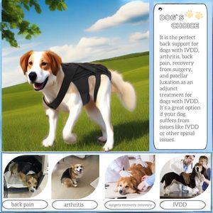 2025 <span class=keywords><strong>Dog</strong></span> Back Brace para perros Artritis <span class=keywords><strong>Protector</strong></span> de espalda Ayuda a aliviar el dolor Recuperación y rehabilitación quirúrgica - Product Image 5