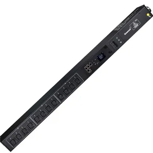 Monitoreo inteligente remoto PDU IEC C19 12 vías Montaje en rack PDU inteligente