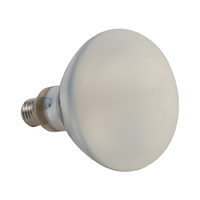 Lampe UVB UVA écologique pour reptiles, ampoule chauffante solaire pour terrarium de tortues, 80W-160W