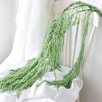 Amaranth Lover Tears Langlebige Konservierte Blumenspikes Ewige Blume Amaranthus Kreation Dekoration Hochzeitsdesign