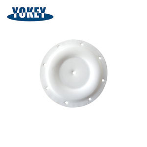 थोक डायाफ्राम पंप सहायक उपकरण ptfe पॉलीटेट्राफ्लोरोइथिलीन डायाफ्राम न्यूमेटिक पंप - Product Image 5