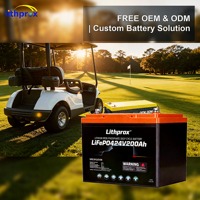 Batería LiFePO4 de 24V 200AH con Calefacción para Bajas Temperaturas, RS485 M8 para Carrito de Golf, Gran Capacidad, Fuente de Alimentación Continua para Bajas Temperaturas