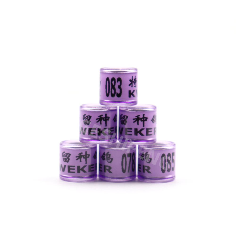 Pourpre