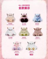 Lot de 12 Boîtes en Gros – Série MOMO TOY Dundun Beast – Peluches Surprise – Figurines Mystères pour Enfants – Jouets d'Anniversaire – Poupées de Collection