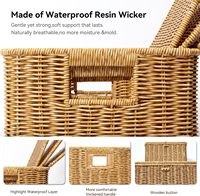 Panier de rangement en rotin tressé écologique avec couvercle, idéal pour la buanderie, la chambre, le salon, un panier de décoration pour la maison