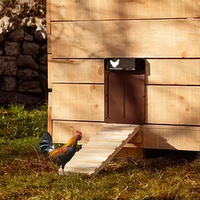 Porte de poulailler automatique personnalisée avec capteur de lumière, en ABS, pour poulets, fabrication OEM, vente en gros