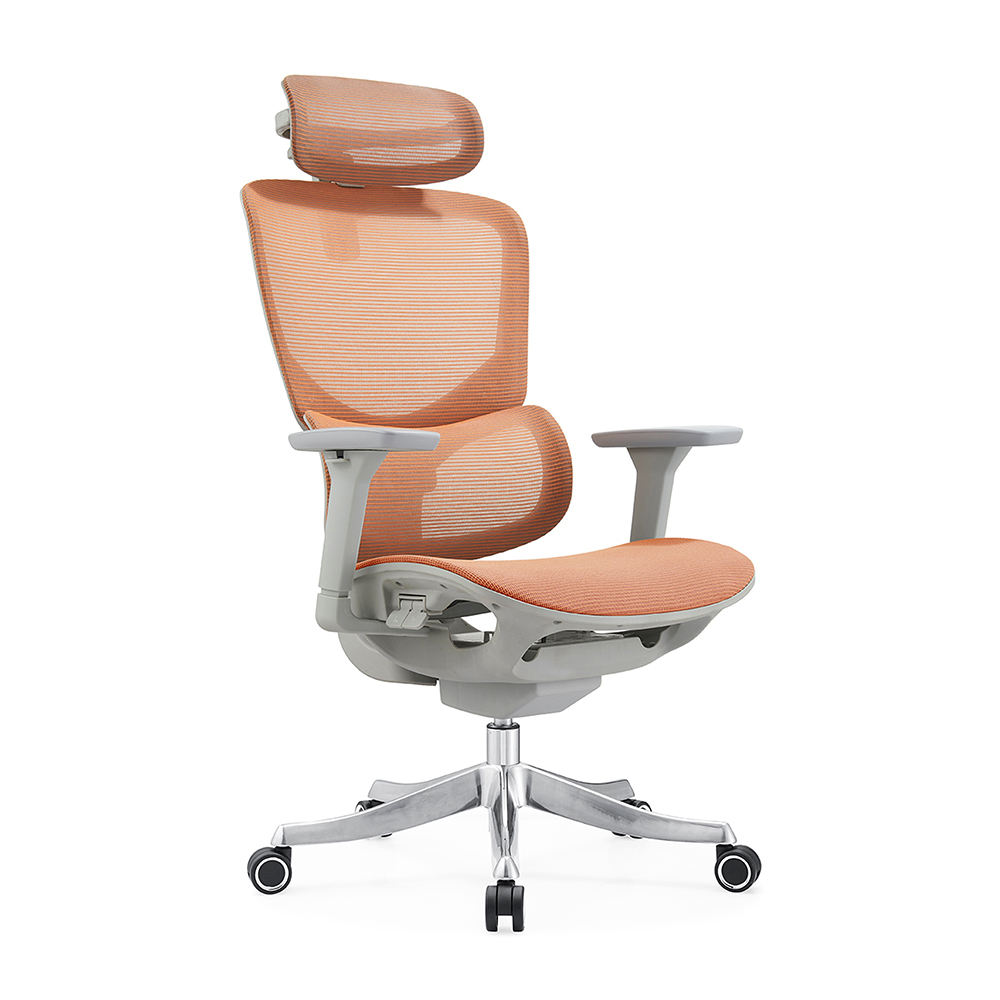 กรอบสีส้ม-เทา