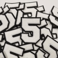 Vente en gros de chenille cheer sequin appliques fer sur patch pour veste à capuche