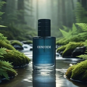 Best-seller Parfum boisé élégant pour homme 60ml/100ml Parfum longue durée toute la journée Pour cadeau et usage quotidien OEM/ODM Personnalisé - Product Image 1