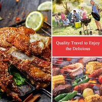 Grill au charbon de bois portable de grande taille, pliable avec poignée, grils BBQ de table, petit grill BBQ pour la cour, le feu de joie, l'extérieur