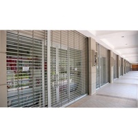 Grille de sécurité en acier de haute qualité, porte à enroulement, design moderne, grille de sécurité pour l'extérieur, matériau en fibre de verre