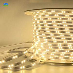 <span class=keywords><strong>220v</strong></span> étanche 3030 4040 <span class=keywords><strong>LED</strong></span> Bande IP67 100M 60 72LEDS Extérieur 110v <span class=keywords><strong>220v</strong></span> <span class=keywords><strong>LED</strong></span> Bande Bande Lumineuse <span class=keywords><strong>Ruban</strong></span> Luce Luz - Product Image 4