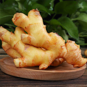 Produsen Memasok Jahe Segar Organik Jual Jahe Kualitas Baik Jahe Segar - Product Image 5