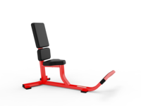 Banc de musculation réglable en métal BH1017 pour la musculation et le bodybuilding - Équipement de fitness pour salle de sport