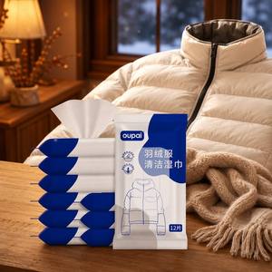 Lingettes nettoyantes pour vêtements, 12 pièces, pour doudounes, avec couvercle rabattable portable, emballage souple, lingettes jetables pour le nettoyage des vêtements en voyage hivernal - Product Image 1