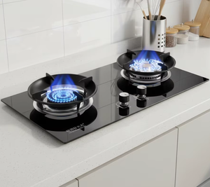 Estufa de Gas de Alta Resistencia con 2 Quemadores, Vidrio Templado, Alta Eficiencia, para Uso en Cocinas de Hoteles y Restaurantes - Product Image 1