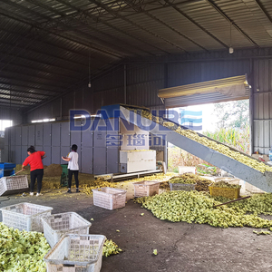 Industrial Steam Heating Vegetable Belt Dehydrator Dryer Ginger Garlic Drying Machine - Product Image 5