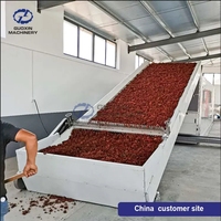 Promotion : Séchoir à bande maillée grande capacité pour feuilles d'Amla (Phyllanthus Emblica) pour ligne de production de séchage d'herbes ayurvédiques