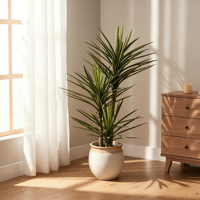 160cm Artificielle Sisal Plante Artificielle En Plastique Sisal Chanvre Agave Bonsaï Plante Faux Sisal Agave Plante pour Décoration