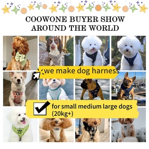 人間工学に基づいたY型ノープル犬用ハーネス、デュアルリーシュアタッチメント、頑丈なフロントクリップ付き犬用ハーネスとリーシュセット - Product Image 5