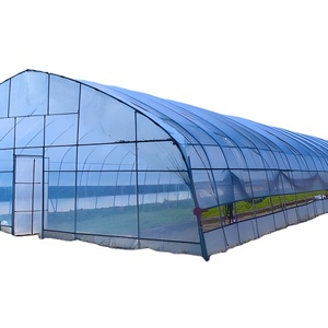 Invernadero agrícola de plástico de un solo túnel grande PE Flim gran oferta sistema hidropónico invernadero de tomate
