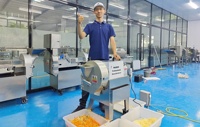 Automatische groentehakker, kool snijmachine, uien snijmachine, wortelsnijder, aardappel friet snijmachine