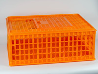 Caisse/Cage de Transport en Plastique pour Poulailler, Cage pour Poules Pondeuses, Élevage Avicole, Mangeoire à Poulets