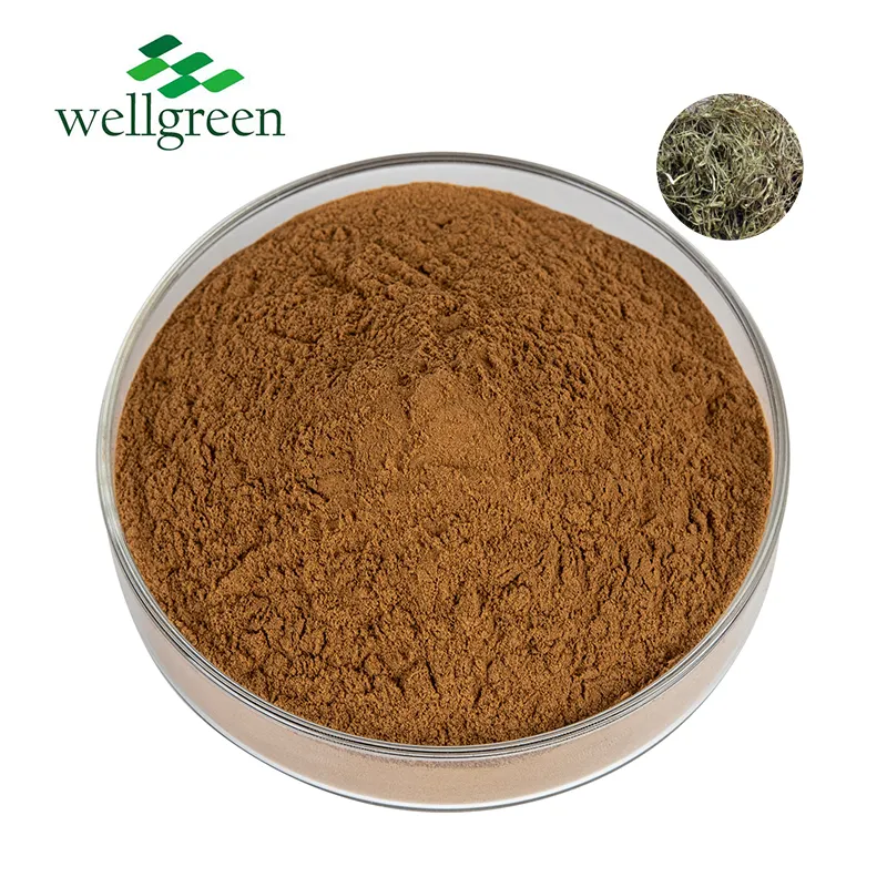 Free Sample Top Quality Natural 98%Salicin Tree Plant 10:1 White Willow Bark Extract Powder