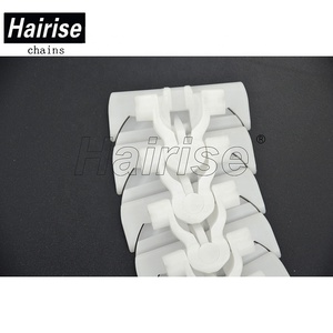 Hairise 1775 Chất Lượng Cao Giá Rẻ Flat Top Băng Tải Chuỗi Các Nhà Sản Xuất - Product Image 4