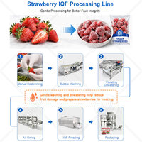 ORME Productielijn voor diepvriesaardbeien, kleine fruit- en groenteproducten, snijden, reinigen, drogen en IQF-vriezen.