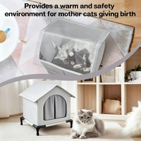 Maison chauffée pour animaux de compagnie d'extérieur, imperméable, coupe-vent, abri pour l'hiver et toutes les saisons, avec coussin chauffant surélevé