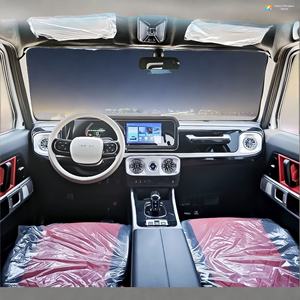 Mini Auto Elettrica Cinese per Adulti, Modello Mini <span class=keywords><strong>G</strong></span> Wagon - Product Image 4