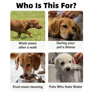 ถุงมือทำความสะอาดสัตว์เลี้ยงแบบใช้แล้วทิ้ง 50 ชิ้น สำหรับผิวแพ้ง่าย ปลอดภัยสำหรับมืออาชีพ เหมาะสำหรับร้านสปาสัตว์เลี้ยง คลินิกสัตวแพทย์ - Product Image 3