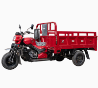 Motocyclette cargo à trois roues à carrosserie ouverte avec side-car, moteur à essence, motorisée pour adultes