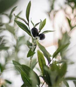 Planta Artificial <span class=keywords><strong>Grande</strong></span> de <span class=keywords><strong>Olivo</strong></span>, Bonsái de 1.2m/1.6m/1.8m, Planta en Maceta para Centro Comercial, Vestíbulo de Hotel, Pasillo - Product Image 2
