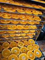 Fruitdroogmachine Groentedroger Machine Zeevoedsel Visdroger Droogmachine