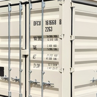 Conteneur de stockage moderne en acier écologique DFC 20GP à deux portes latérales
