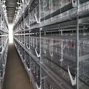 <span class=keywords><strong>Cage</strong></span> de poulet automatique à 3 niveaux, 4 niveaux, Type H, équipement d'élevage de volaille, enclos de piles pour poissons - Product Image 6